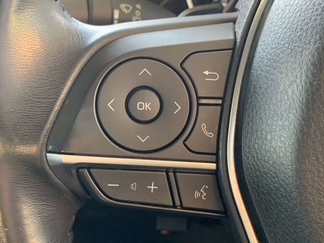 トヨタ カムリ ２．５ ＷＳ レザーパッケージ R3年 (東北) 99