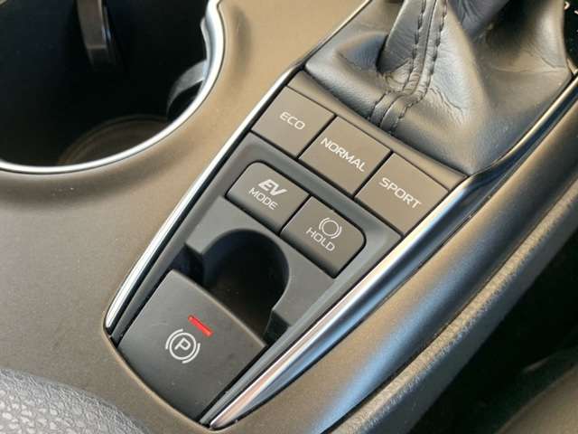 トヨタ カムリ ２．５ ＷＳ レザーパッケージ R3年 (東北) 99