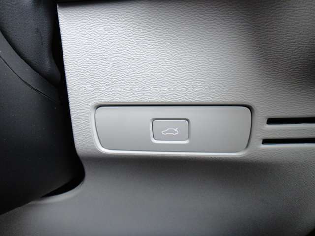 ボルボ ＸＣ４０ ウルトラ Ｂ４ ＡＷＤ ４ＷＤ R6年 (東北) 99