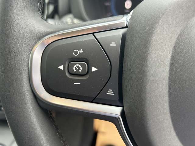 ボルボ ＸＣ６０ プラス　Ｂ５ R6年 (東北) 99