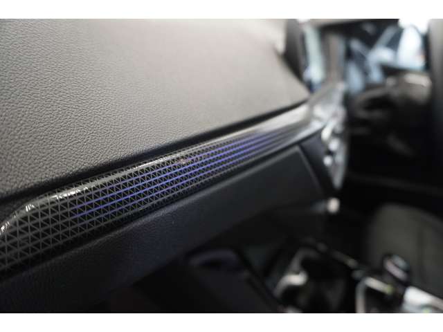 ＢＭＷ ２シリーズ ２１８Ｉ プレイ R6年 (近畿) 99