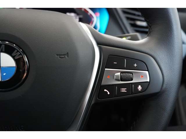 ＢＭＷ ２シリーズ ２１８Ｉ プレイ R6年 (近畿) 99