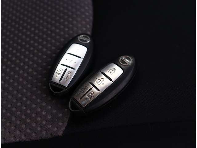 日産 セレナ ２．０ ライダー H23年 (関東) 99