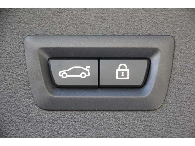 ＢＭＷ Ｘ１ Ｘドライブ １８Ｄ Ｘライン ４ＷＤ H30年 (関東) 99