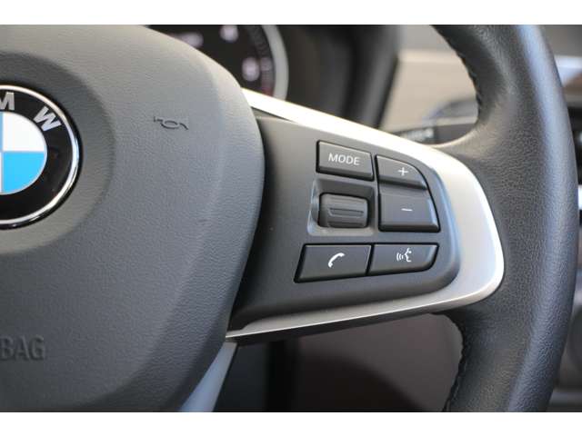 ＢＭＷ Ｘ１ Ｘドライブ １８Ｄ Ｘライン ４ＷＤ H30年 (関東) 99