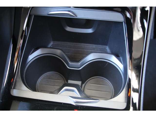 ＢＭＷ Ｘ１ Ｘドライブ １８Ｄ Ｘライン ４ＷＤ H30年 (関東) 99