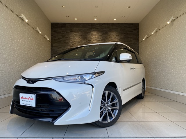 トヨタ エスティマ ２．４ アエラス プレミアムＧ H28年 (九州・沖縄) 99