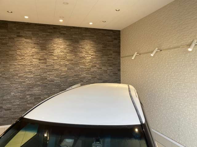 トヨタ エスティマ ２．４ アエラス プレミアムＧ H28年 (九州・沖縄) 99