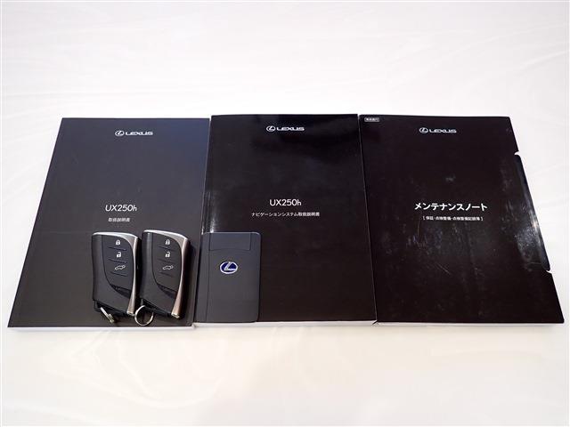 レクサス ＵＸ２５０ｈ Ｆスポーツ R3年 (関東) 99