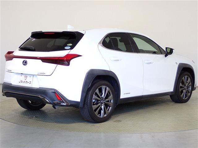 レクサス ＵＸ２５０ｈ Ｆスポーツ R3年 (関東) 99