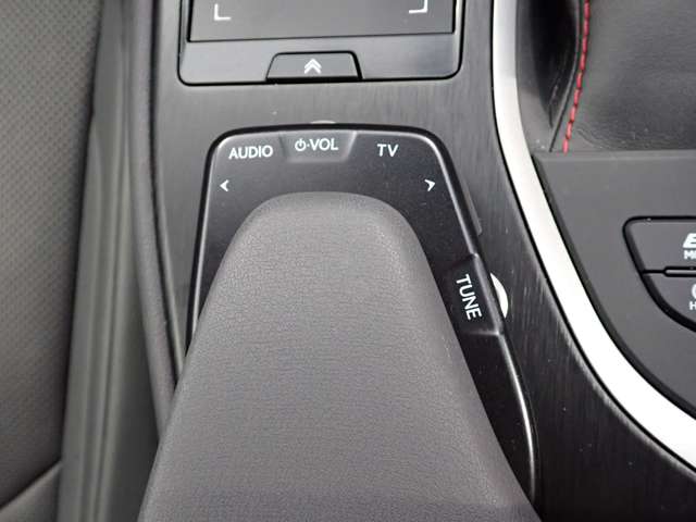 レクサス ＵＸ２５０ｈ Ｆスポーツ R3年 (関東) 99