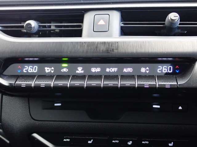 レクサス ＵＸ２５０ｈ Ｆスポーツ R3年 (関東) 99