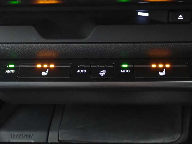 レクサス ＵＸ２５０ｈ Ｆスポーツ R3年 (関東) 99