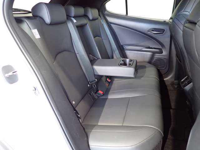 レクサス ＵＸ２５０ｈ Ｆスポーツ R3年 (関東) 99