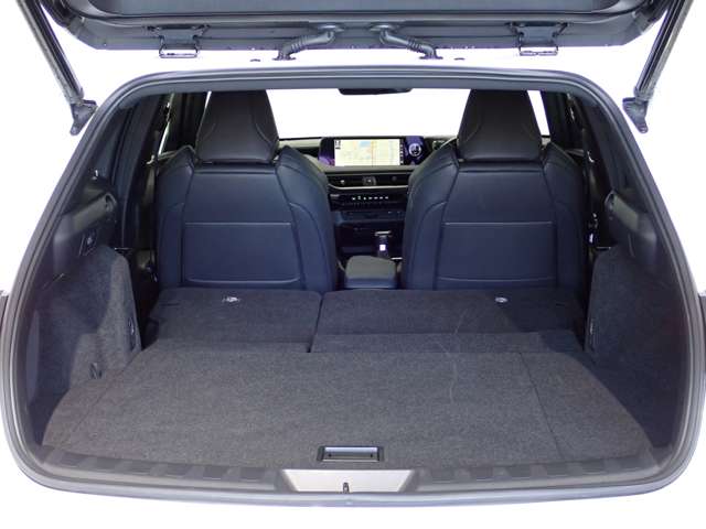 レクサス ＵＸ２５０ｈ Ｆスポーツ R3年 (関東) 99