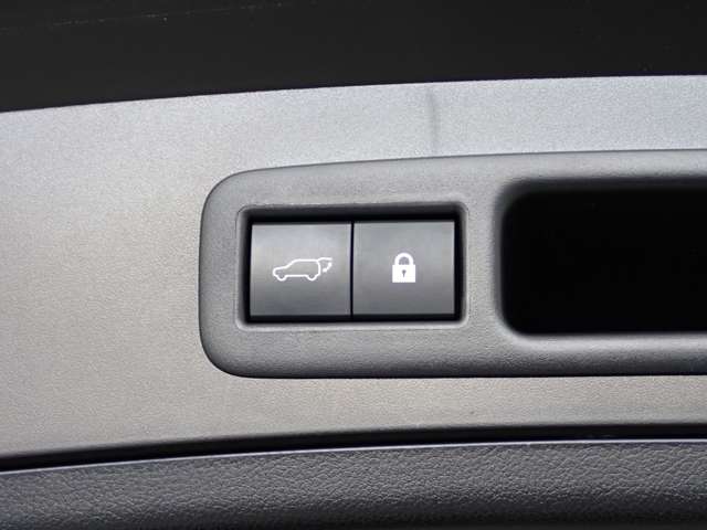 レクサス ＵＸ２５０ｈ Ｆスポーツ R3年 (関東) 99