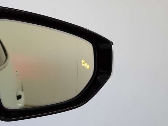 レクサス ＵＸ２５０ｈ Ｆスポーツ R3年 (関東) 99