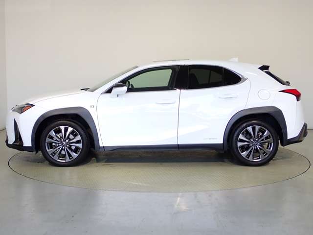 レクサス ＵＸ２５０ｈ Ｆスポーツ R3年 (関東) 99