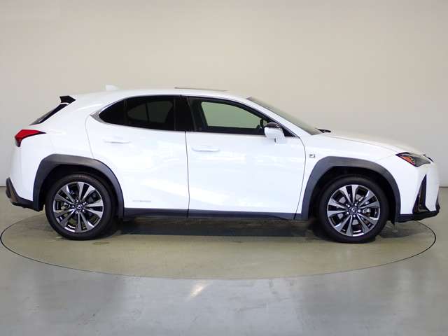 レクサス ＵＸ２５０ｈ Ｆスポーツ R3年 (関東) 99