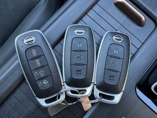 日産 アリア Ｂ６ Ｅ－４ＯＲＣＥ ４ＷＤ R6年 (東海) 99