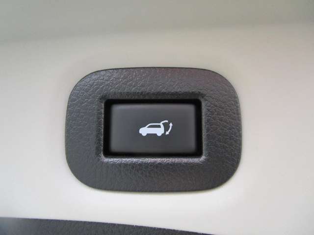 日産 エクストレイル ２．０ ２０ＸＴ ブラック エクストリーマーＸ エマージェンシーブレーキパッケージ ３列車 ４ＷＤ H28年 (中国) 99