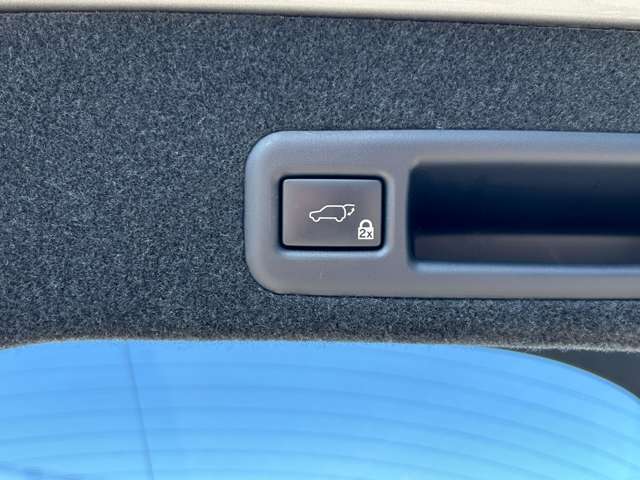 レクサス ＲＸ２００ｔ ２００Ｔ Ｆスポーツ ４ＷＤ H28年 (関東) 99