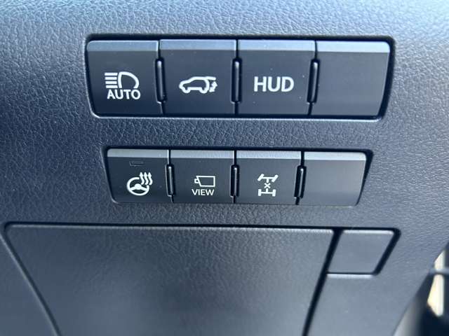 レクサス ＲＸ２００ｔ ２００Ｔ Ｆスポーツ ４ＷＤ H28年 (関東) 99