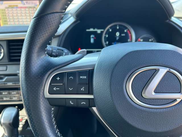 レクサス ＲＸ２００ｔ ２００Ｔ Ｆスポーツ ４ＷＤ H28年 (関東) 99