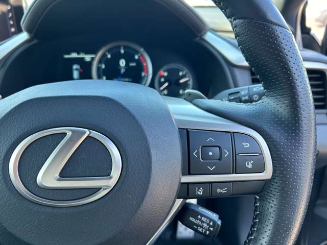 レクサス ＲＸ２００ｔ ２００Ｔ Ｆスポーツ ４ＷＤ H28年 (関東) 99