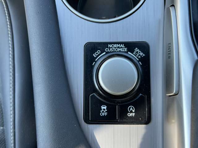 レクサス ＲＸ２００ｔ ２００Ｔ Ｆスポーツ ４ＷＤ H28年 (関東) 99