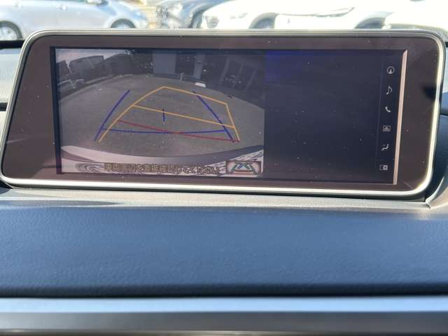 レクサス ＲＸ２００ｔ ２００Ｔ Ｆスポーツ ４ＷＤ H28年 (関東) 99