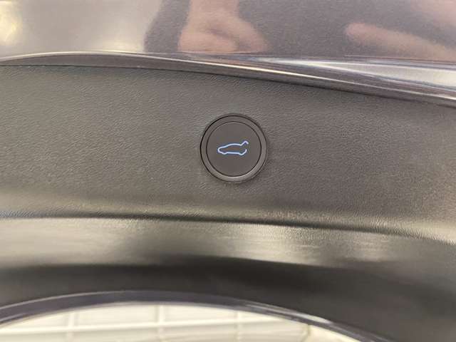 テスラ モデル３ ベースグレード R5年 (関東) 99