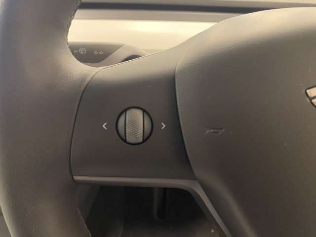 テスラ モデル３ ベースグレード R5年 (関東) 99