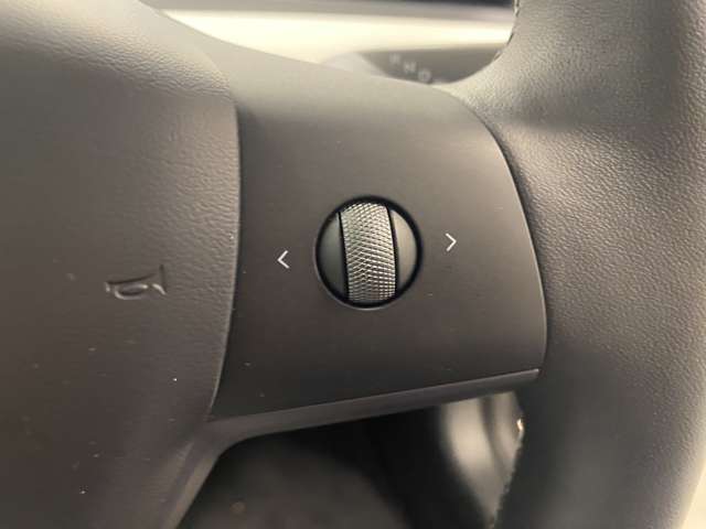 テスラ モデル３ ベースグレード R5年 (関東) 99