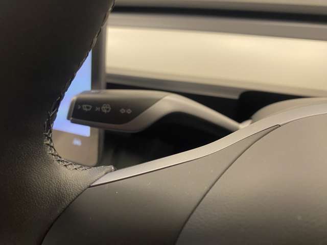 テスラ モデル３ ベースグレード R5年 (関東) 99