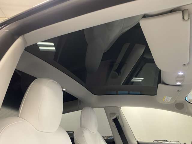 テスラ モデル３ ベースグレード R5年 (関東) 99