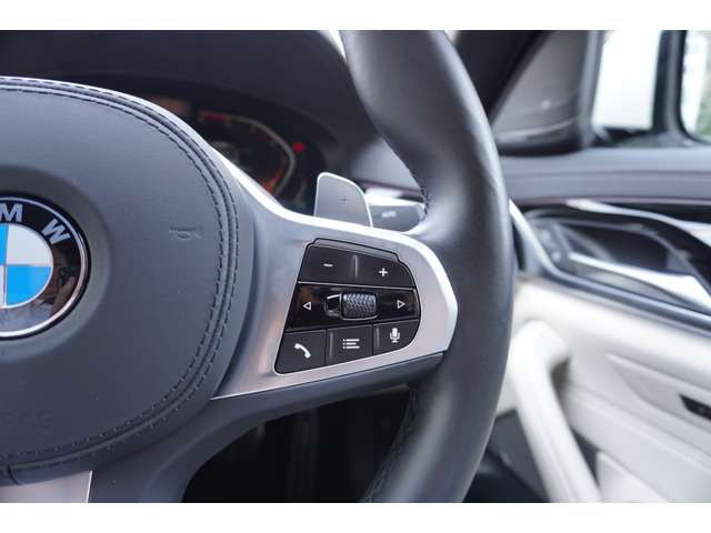 ＢＭＷ ５シリーズ ５２３Ｄ Ｘドライブ Ｍスポーツ エディション ジョイプラス ディーゼルターボ ４ＷＤ R3年 (近畿) 99