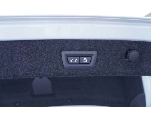 ＢＭＷ ５シリーズ ５２３Ｄ Ｘドライブ Ｍスポーツ エディション ジョイプラス ディーゼルターボ ４ＷＤ R3年 (近畿) 99