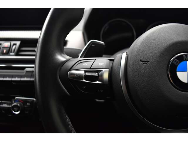 ＢＭＷ Ｘ２ Ｍ３５Ｉ ４ＷＤ R1年 (関東) 99