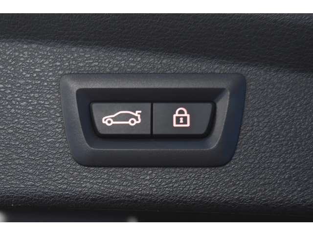 ＢＭＷ Ｘ２ Ｍ３５Ｉ ４ＷＤ R1年 (関東) 99