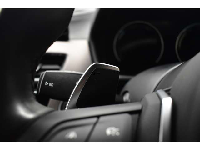 ＢＭＷ Ｘ２ Ｍ３５Ｉ ４ＷＤ R1年 (関東) 99