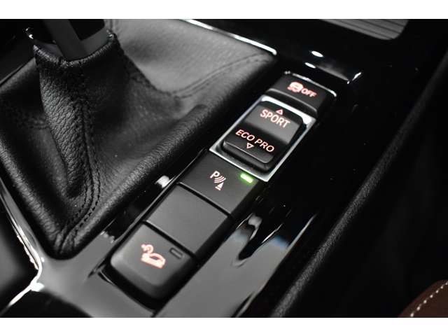 ＢＭＷ Ｘ２ Ｍ３５Ｉ ４ＷＤ R1年 (関東) 99