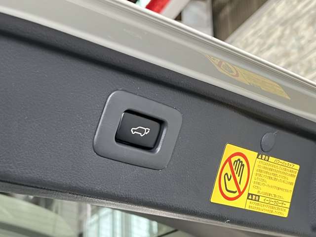 トヨタ ヴェルファイア ２．４Ｚ　ゴールデンアイズ H25年 (関東) 99