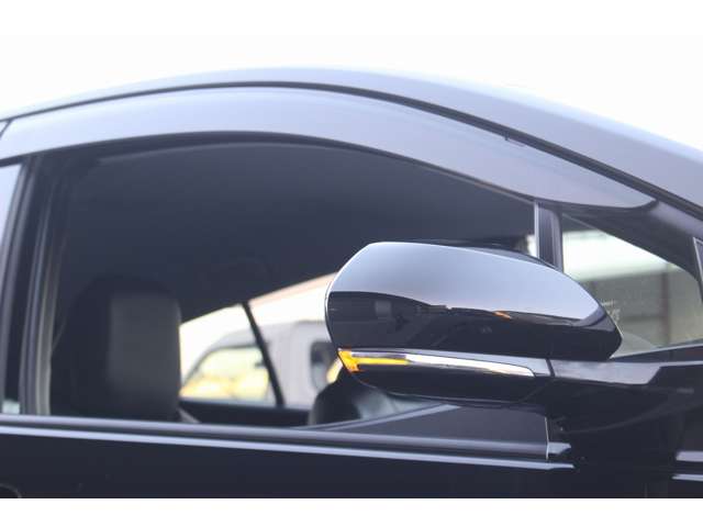 トヨタ プリウスＰＨＶ １．８ Ａ レザーパッケージ H30年 (関東) 99