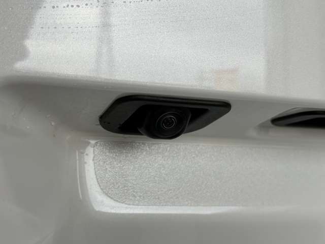 ダイハツ ムーヴ　キャンバス ６６０ ストライプス Ｇ R5年 (中国) 99