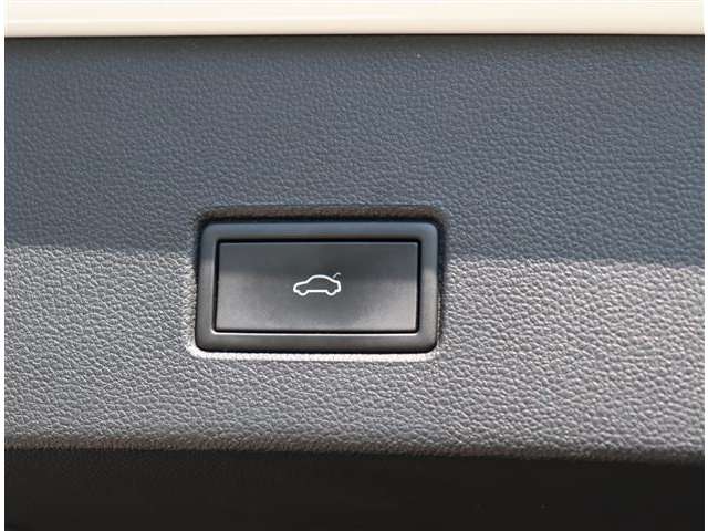 フォルクスワーゲン Ｔ－ＲＯＣ ＴＳＩ スタイル デザイン パッケージ R3年 (関東) 99