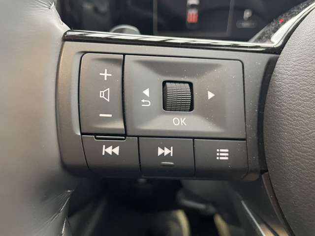 日産 セレナ ２．０ ＸＶ チェアキャブ スロープタイプ 車イス２名仕様 R5年 (東北) 99