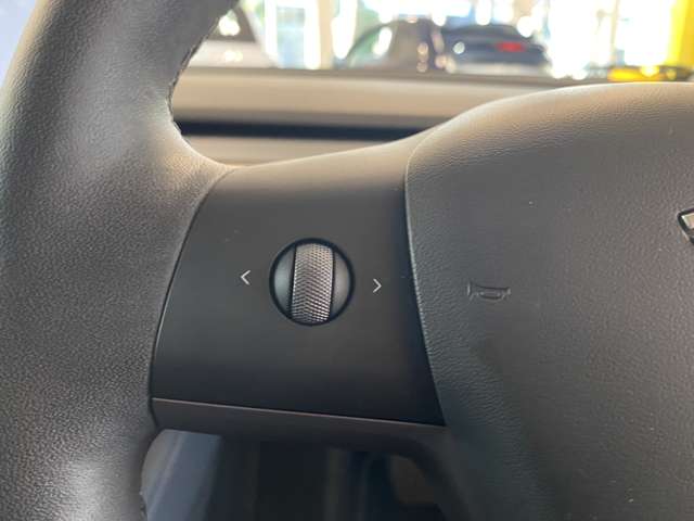 テスラ モデル３ ロングレンジ R4年 (関東) 99