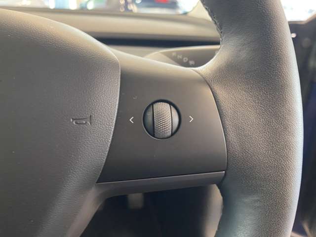 テスラ モデル３ ロングレンジ R4年 (関東) 99