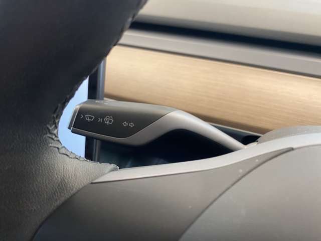 テスラ モデル３ ロングレンジ R4年 (関東) 99